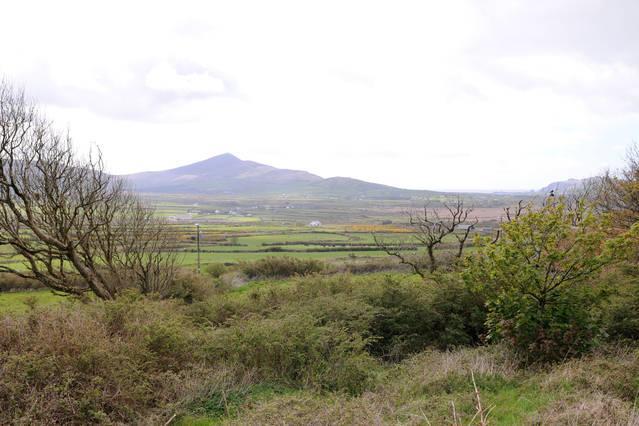 Griffins Holiday Cottage ดิงเกิล ภายนอก รูปภาพ