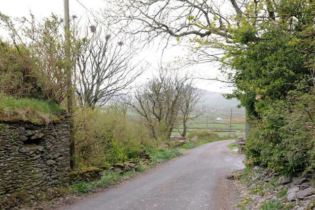 Griffins Holiday Cottage ดิงเกิล ภายนอก รูปภาพ